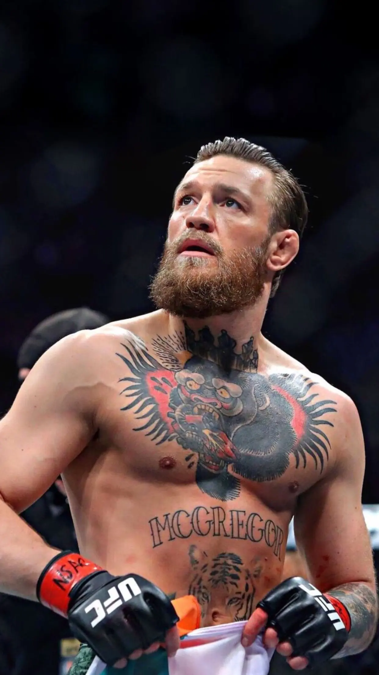 The Rise and Evolution of Conor McGregor