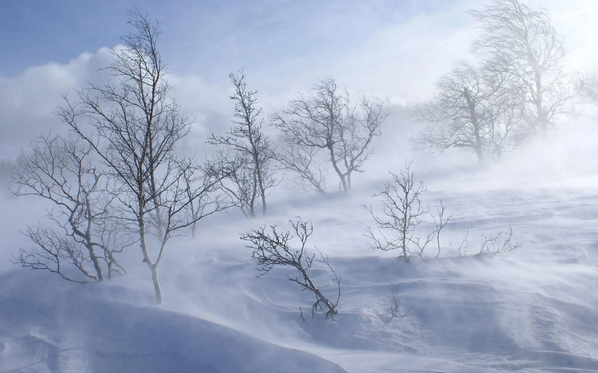 Understanding the Winter Storm Snow Forecast: What You Need to Know