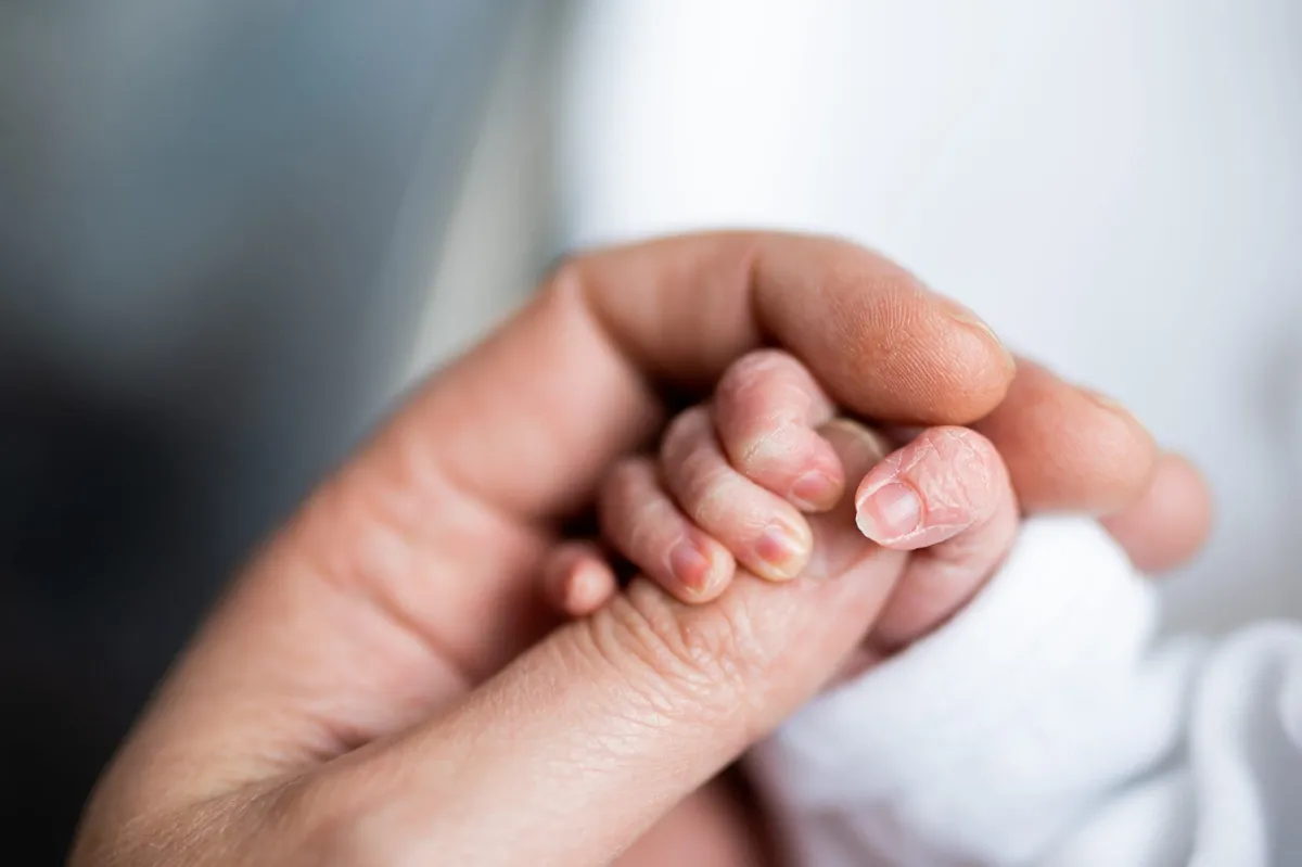 baby born womb transplant — GB news