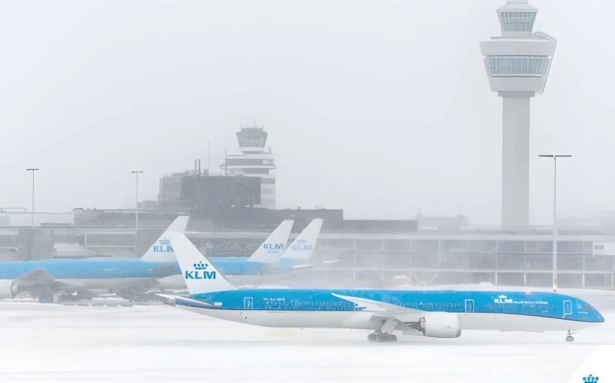 munich flights — GB news