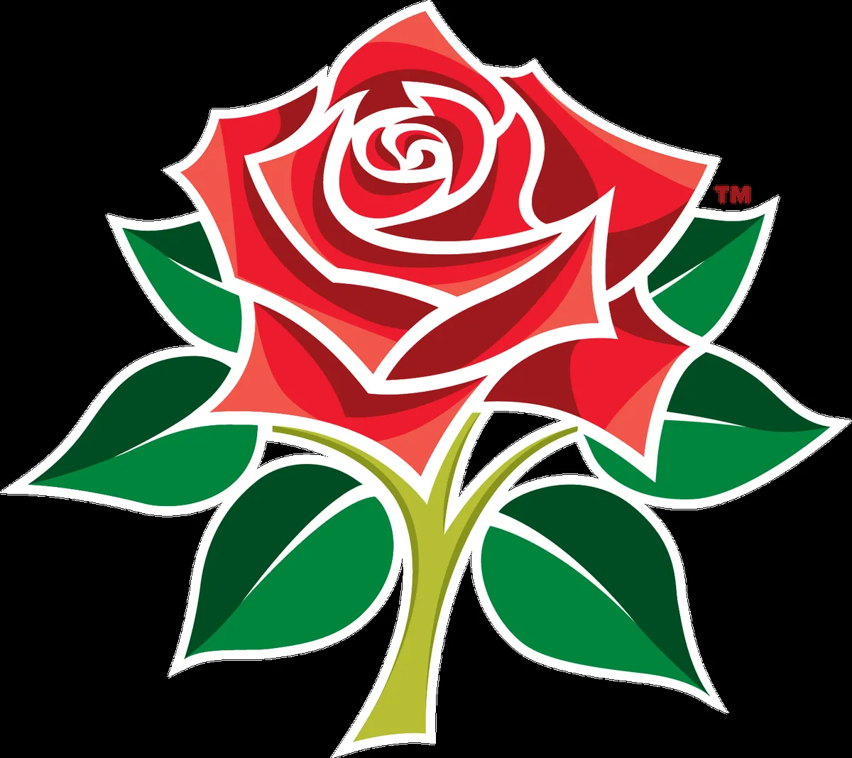 t20 world cup — GB news