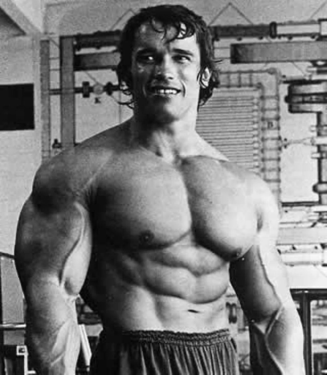 arnold schwarzenegger — GB news