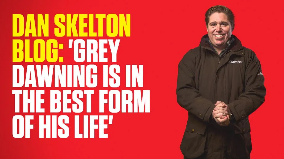 dan skelton — GB news