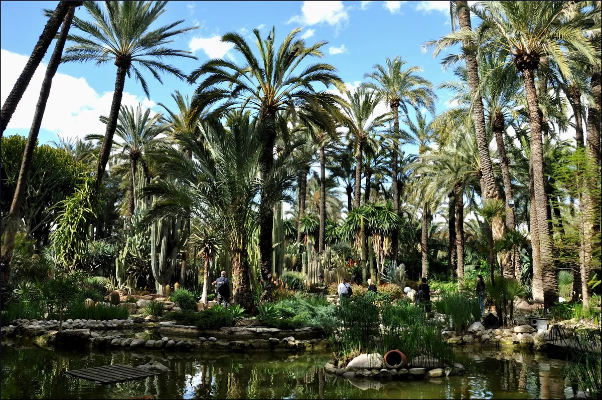 elche — GB news