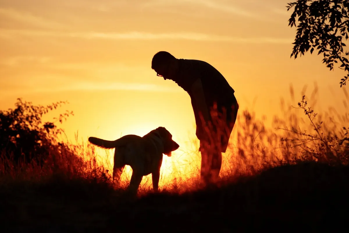 euthanasia — GB news
