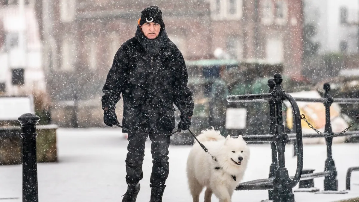 snow weather forecast — GB news