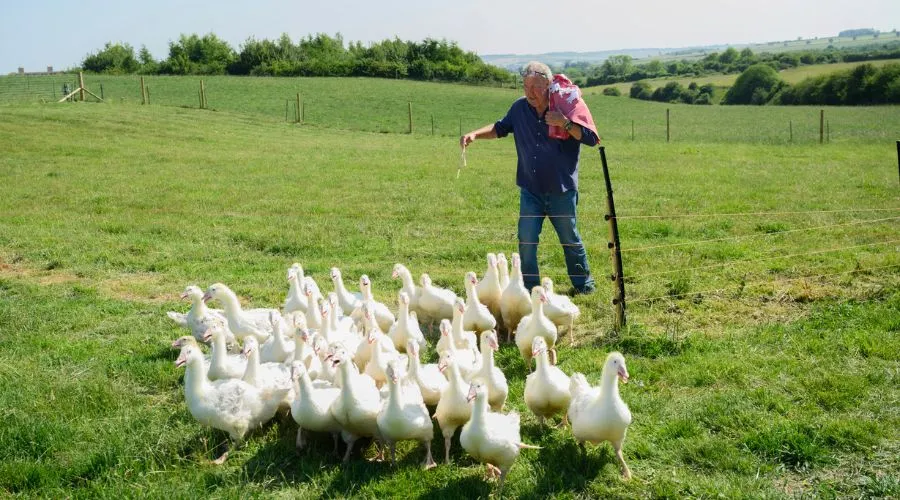 clarkson's farm season 5 date — GB news
