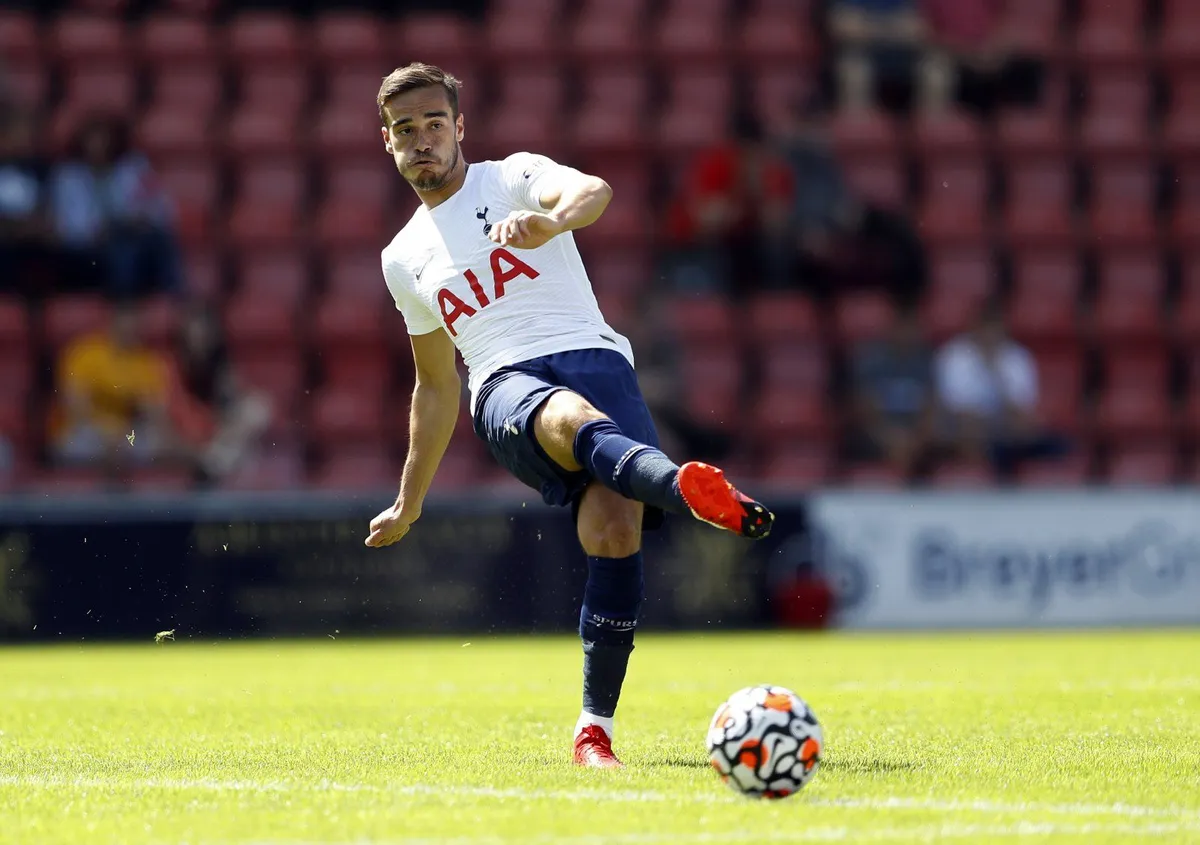 harry winks — GB news