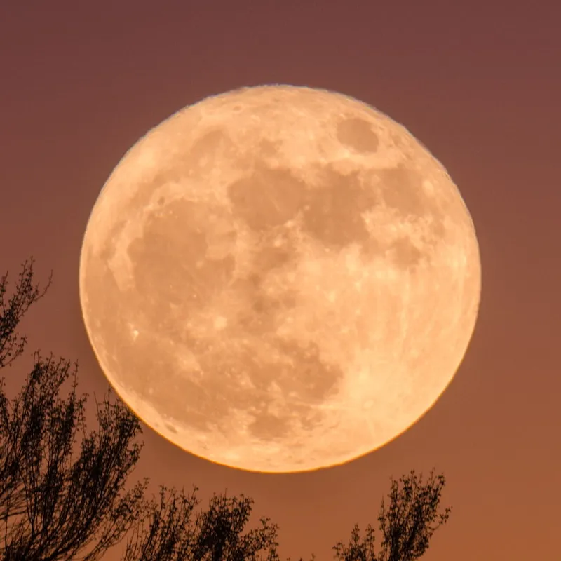 moon tonight — GB news
