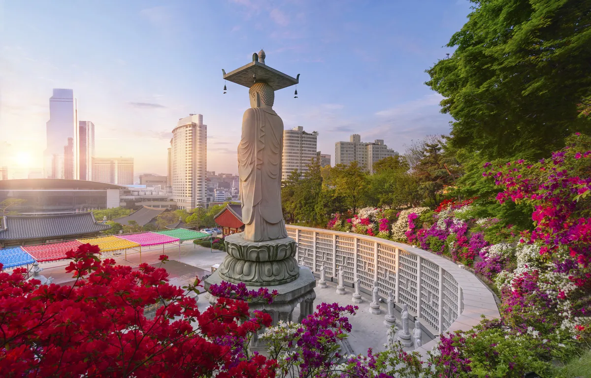 south korea — GB news